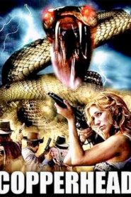 Copperhead Online In Netflix
