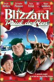 Blizzard Online In Netflix