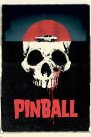 Pinball Online In Netflix
