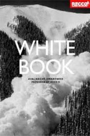 Whitebook Online In Netflix