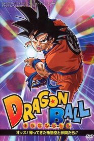 Dragon Ball Z: Goku y sus amigos regresan Online In Netflix