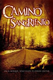 Camino Hacia el Terror 2: Final mortal Online In Netflix