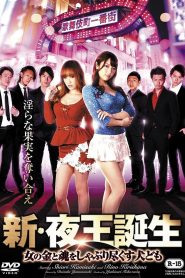 新・夜王誕生 女の金と魂をしゃぶり尽くす犬ども Online In Netflix