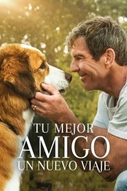 La Razón De Estar Contigo 2: Un Nuevo Viaje Online In Netflix