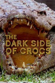 Dark Side of Crocs Online In Netflix