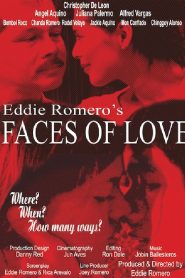Faces of Love Online In Netflix