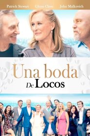 Una boda de locos Online In Netflix