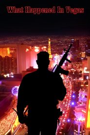 What Happened in Vegas Online In Netflix