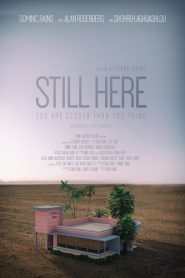 Still Here Online In Netflix