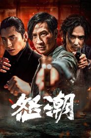 怒潮 Online In Netflix