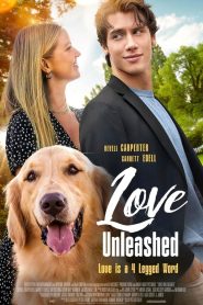 Love Unleashed Online In Netflix