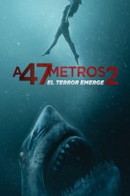 Terror a 47 metros: El segundo ataque Online In Netflix