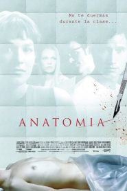 Anatomía Online In Netflix