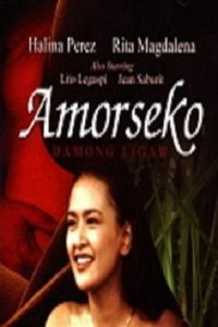 Amorseko: Damong Ligaw Online In Netflix