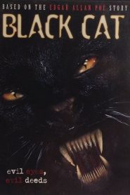 Black Cat Online In Netflix