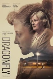 Dragonfly Online In Netflix