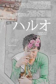 Haruo Online In Netflix