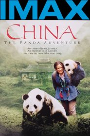 China: The Panda Adventure Online In Netflix