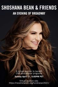 Shoshana Bean and Friends: An Evening of Broadway Online In Netflix