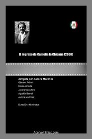 El regreso de Camelia la Chicana Online In Netflix