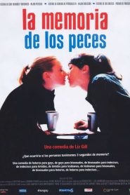 Goldfish Memory Online In Netflix