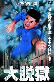 大脱獄 Online In Netflix