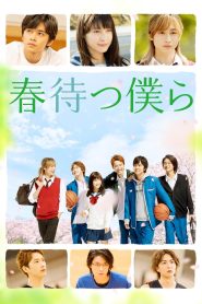 春待つ僕ら Online In Netflix