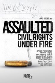 Assaulted: Civil Rights Under Fire Online In Netflix