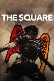 The Square Online In Netflix