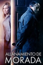 Invasión al Hogar Online In Netflix