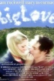 BigLove Online In Netflix