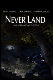 Never Land Online In Netflix