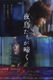 夜、鳥たちが啼く Online In Netflix