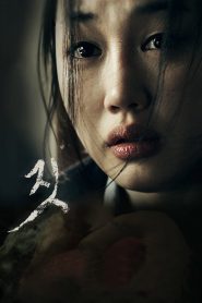 짓 Online In Netflix