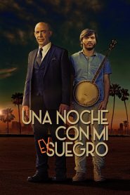 ¡Qué noche! Online In Netflix