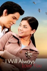 I Will Always Love You Online In Netflix