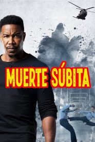 Muerte súbita Online In Netflix
