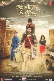 Main Teri Tu Mera Online In Netflix