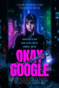 Okay Google Online In Netflix