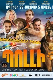 Պոլլի Online In Netflix