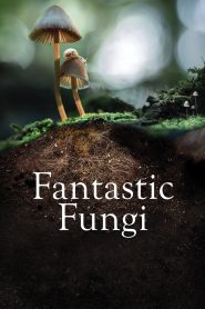 Hongos fantásticos Online In Netflix
