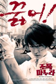 조폭 마누라 Online In Netflix