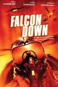 Falcon Down Online In Netflix