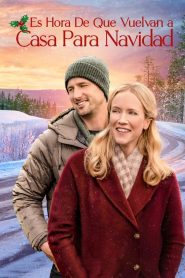 Es hora de que vuelvan a casa para navidad Online In Netflix