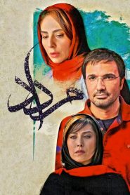 مرداد Online In Netflix