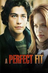 A Perfect Fit Online In Netflix