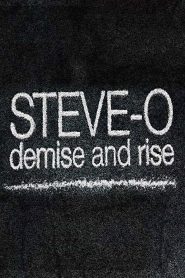 Steve-O: Demise and Rise Online In Netflix