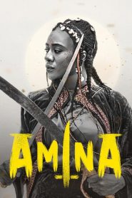 Amina Online In Netflix
