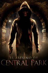 El Asesino de Central Park Online In Netflix