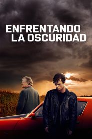 Enfrentando la oscuridad Online In Netflix